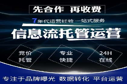 网络推广秘籍：竞价排名成功案例集锦